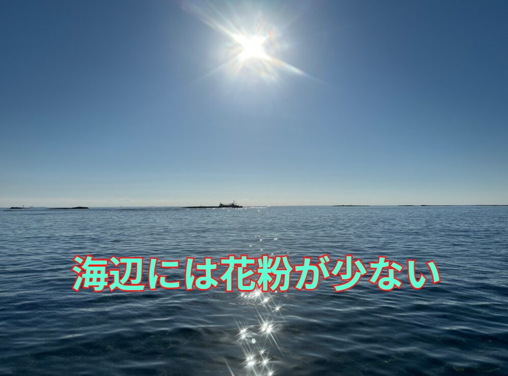 海辺には花粉が少ないので、花粉症の人にお勧め。釣太郎