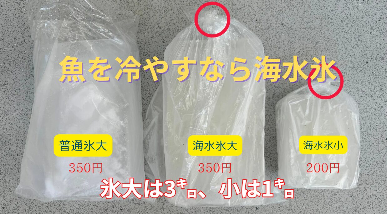 魚に真水がタブーなら、氷も海水氷の方がいいと、釣り人の間で大ブレイクしている海水氷は釣太郎オリジナル。