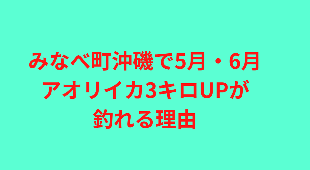 5月・6月に和歌山みなべ町沖磯で毎年3キロUPのアオリイカが釣れる理由。釣太郎