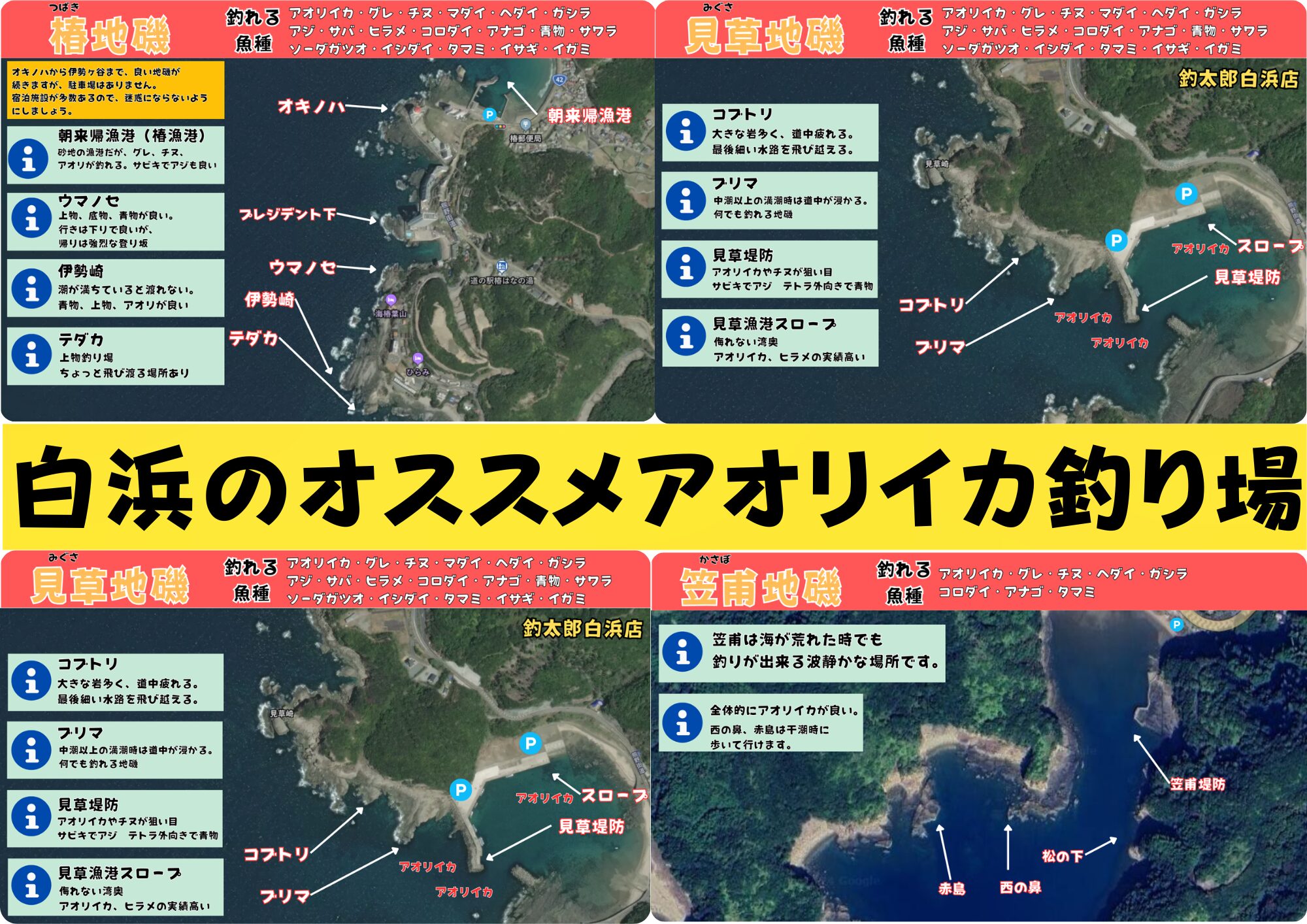 白浜店周辺のアオリイカ釣り場4選をご紹介！