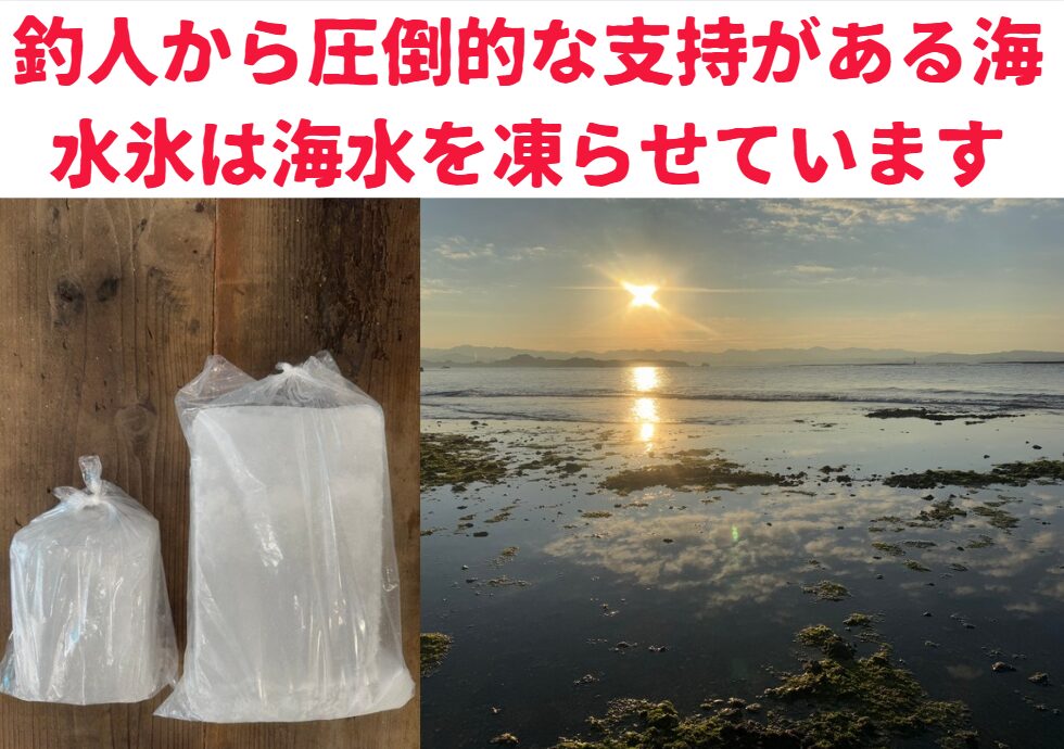 魚を冷やす氷は、「真水から海水」へ移行しています。釣太郎
