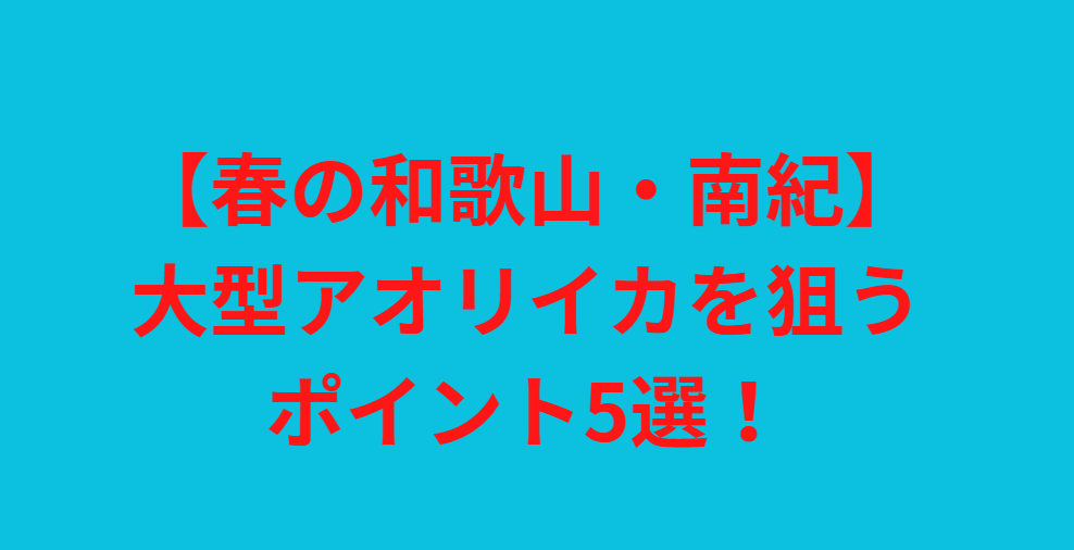 【春の和歌山・南紀】大型アオリイカを狙うポイント5選！釣太郎