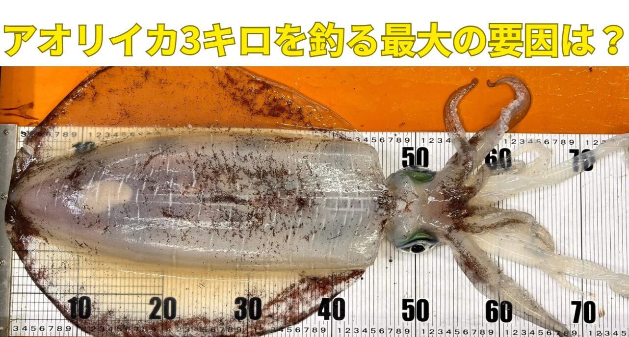 春の南紀で大型アオリイカを狙う場合、 最も重要な要素は 場所（水深・潮通し）。釣太郎