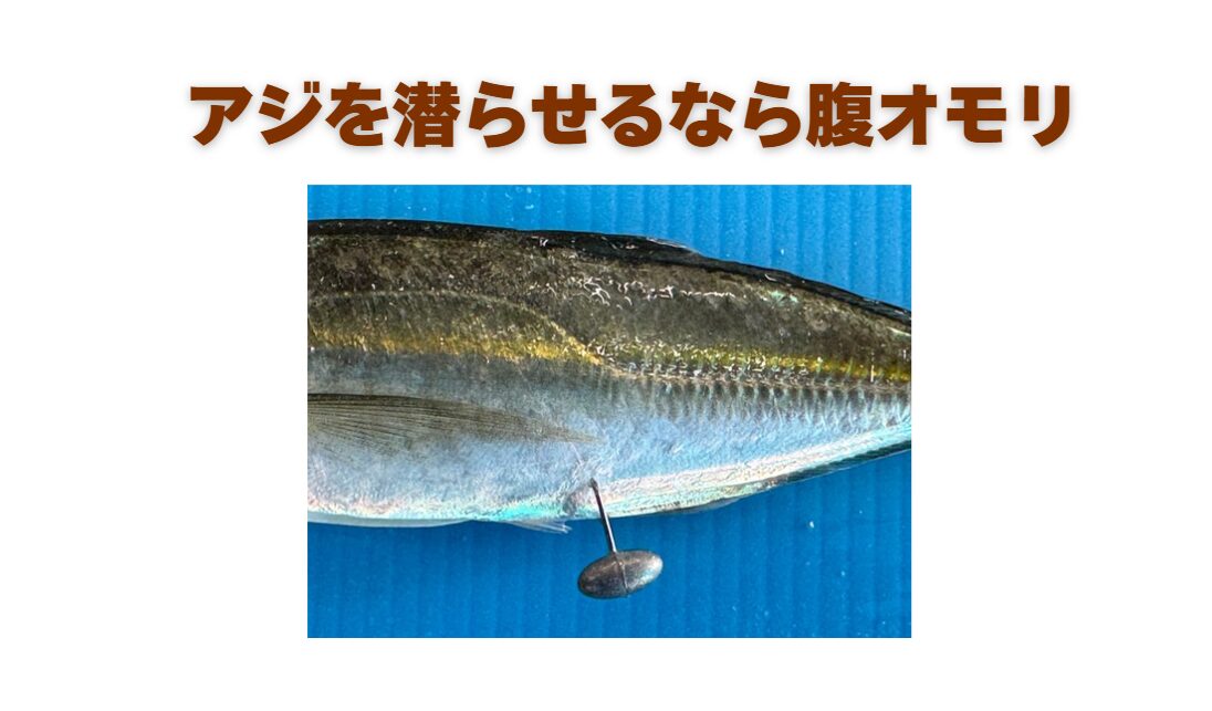 アジを潜らせたい時は腹オモリが有効。アオリイカ・ヤエン釣り入門。釣太郎