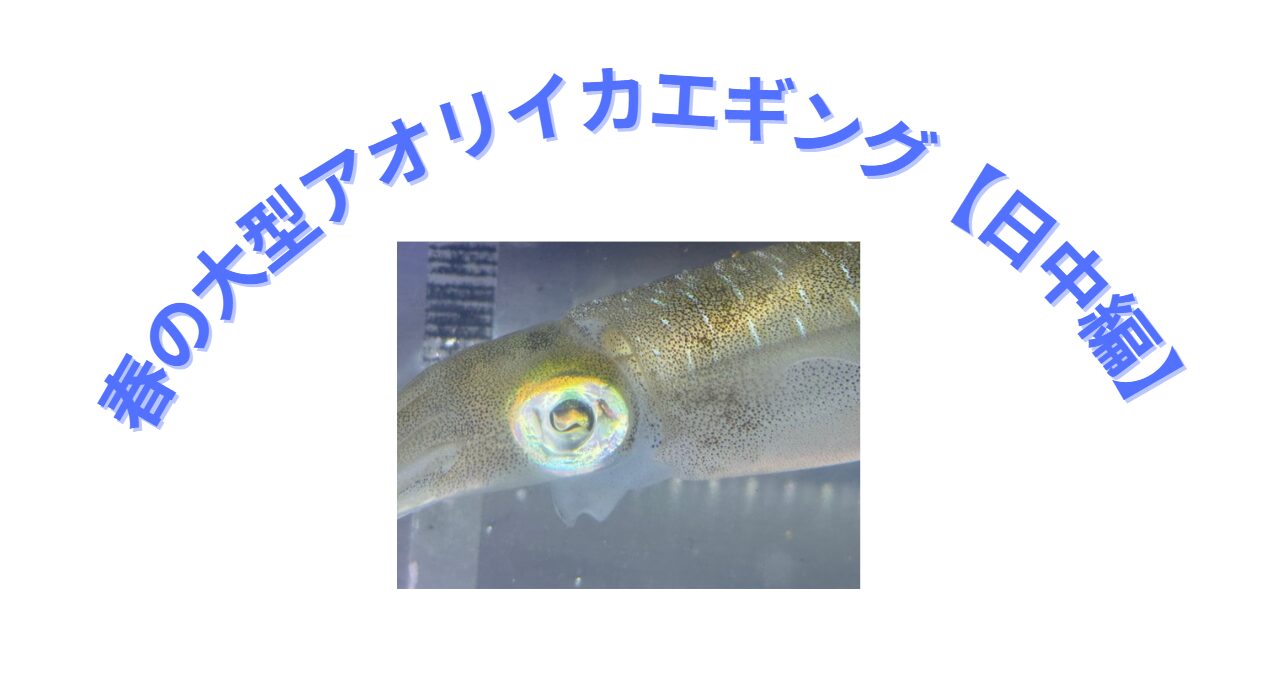 ChatGPTが選ぶ！ 和歌山・南紀 春の大型アオリイカ釣り【日中編】エギ ベストスリー！釣太郎