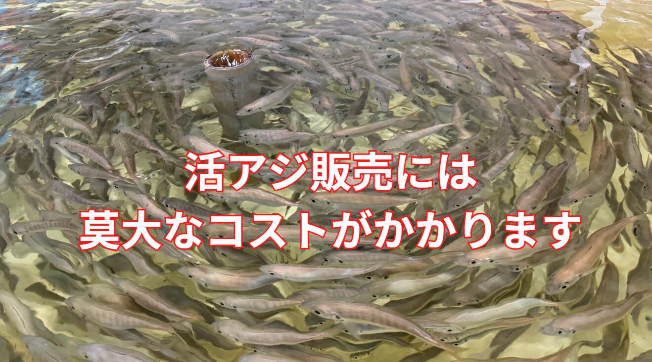 活アジの販売は、目に目以内莫大なコストが生じています。アオリイカ釣りエサ紹介。釣太郎