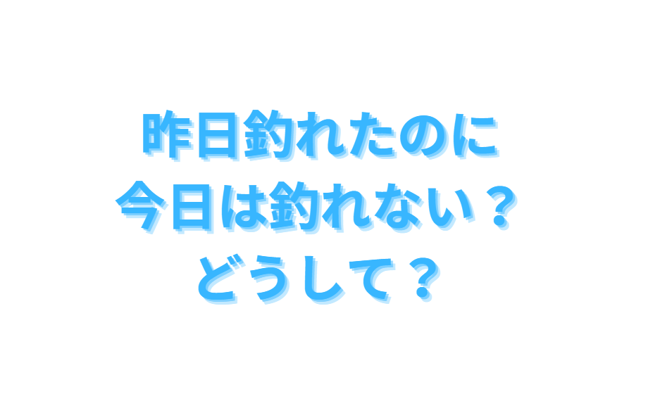 同じ場所で同じ時間帯で同じ仕掛けでも、昨日釣れたのに今日は釣れない。この逆もある。どうして?釣太郎