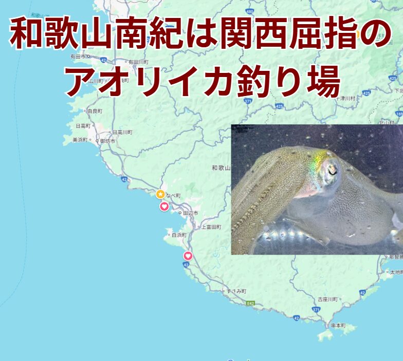 南紀地方はアオリイカ釣りの聖地。釣太郎