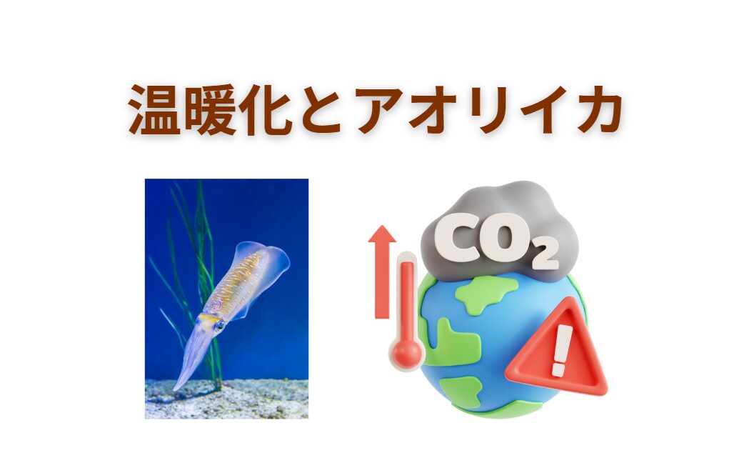 温暖化は南紀のアオリイカ釣りにどんな影響をもたらすと考えられるか。釣太郎