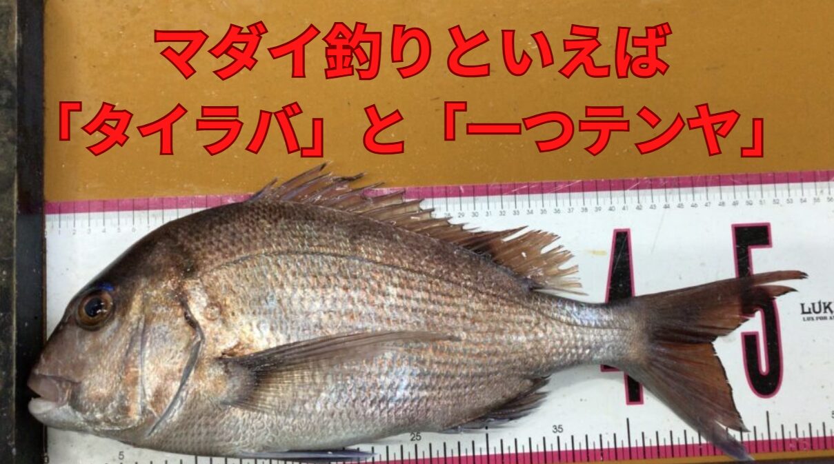 マダイ釣りといえば 「タイラバ」や「一つテンヤ」 が人気の釣法です。釣太郎