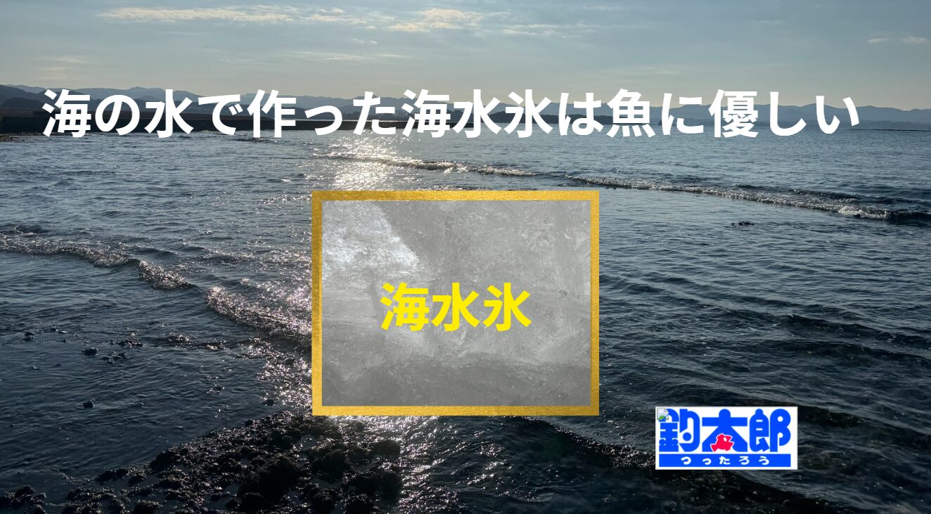 釣り人に圧倒的な人気を誇る海水氷は、釣太郎名物。