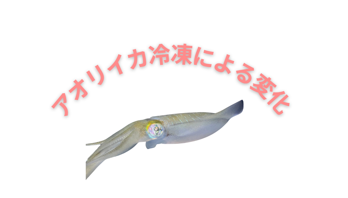 アオリイカを冷凍すると、身にいくつかの変化が生じます。これらの変化は、冷凍方法や解凍方法によって影響を受けます。釣太郎