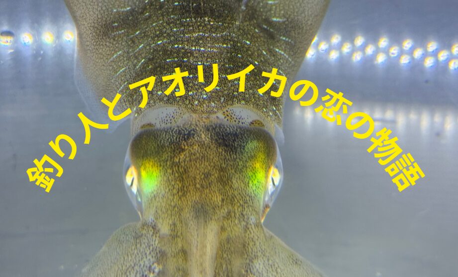 【短編フィクション】アオリイカと恋に落ちた釣り人。釣太郎