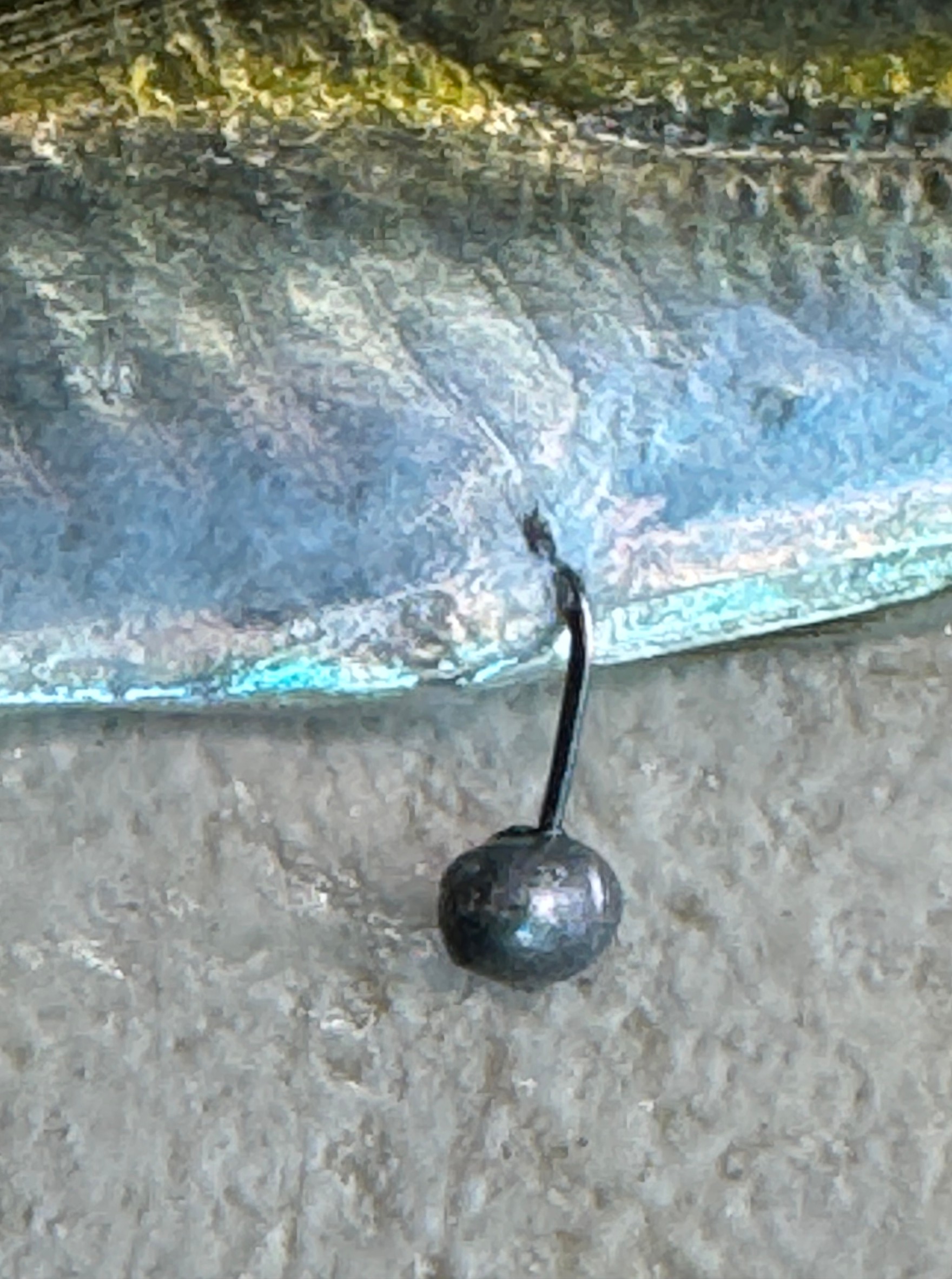 腹おもりを付けて大型アオリイカを深場で狙うのが春の基本。釣太郎