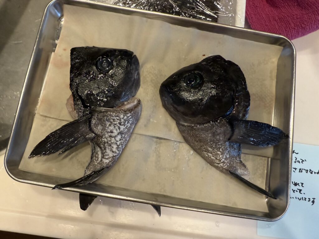 魚のカマ(首の部分)は、料理の世界で特に珍重されています。釣太郎