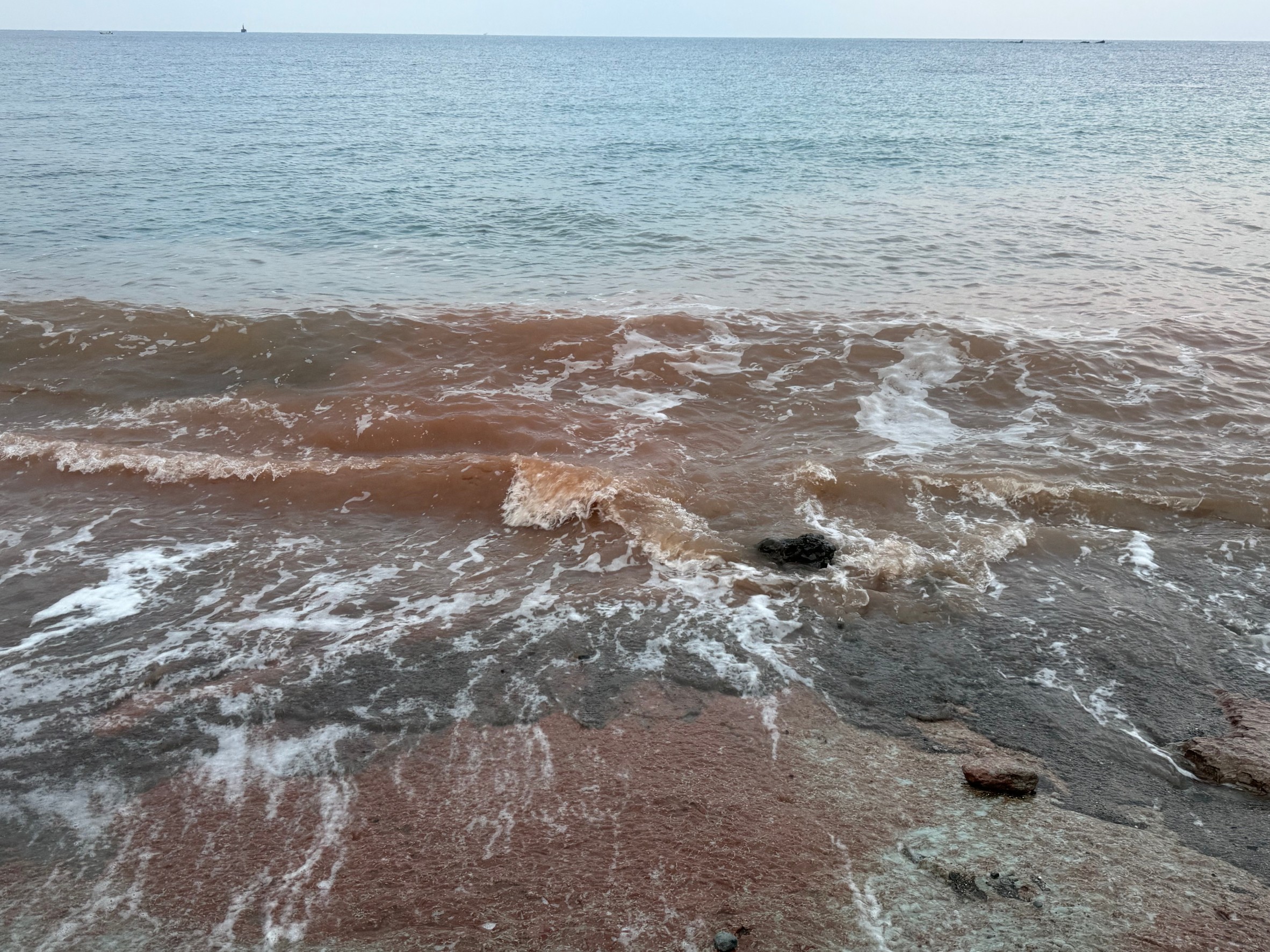 年中赤い色の海は、赤潮（プランクトンの大量発生） ではなく、地形や周辺環境の影響による可能性が高い。釣太郎