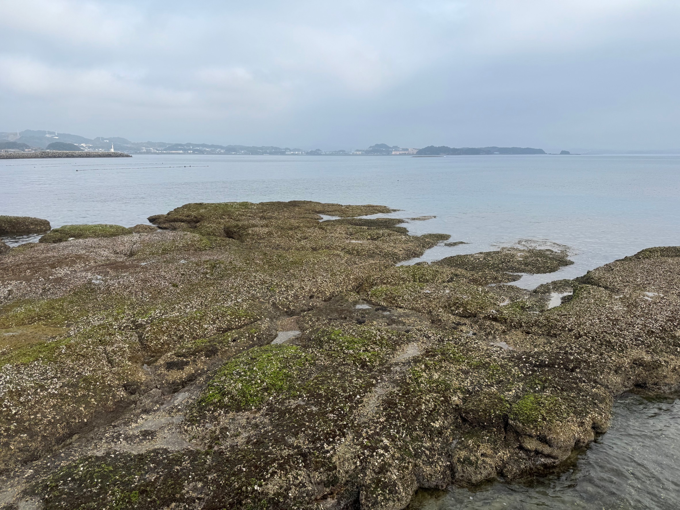 磯はどうやってできる?元は何年くらいの年数がかかっている?釣太郎