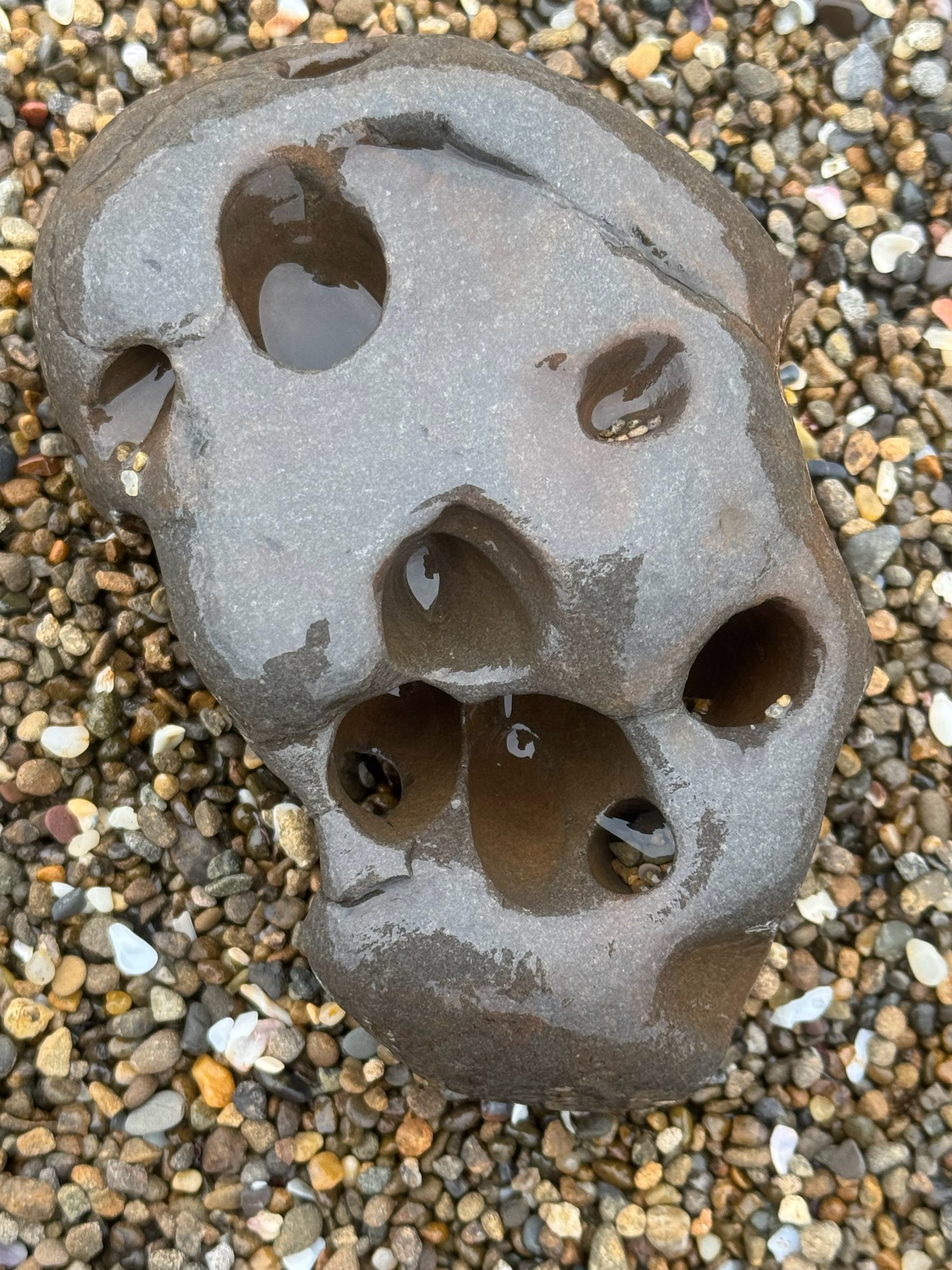 砂浜で奇妙な石を見つけた。穴だらけだ。これは珍しい。どうしてこんな風になる？釣太郎