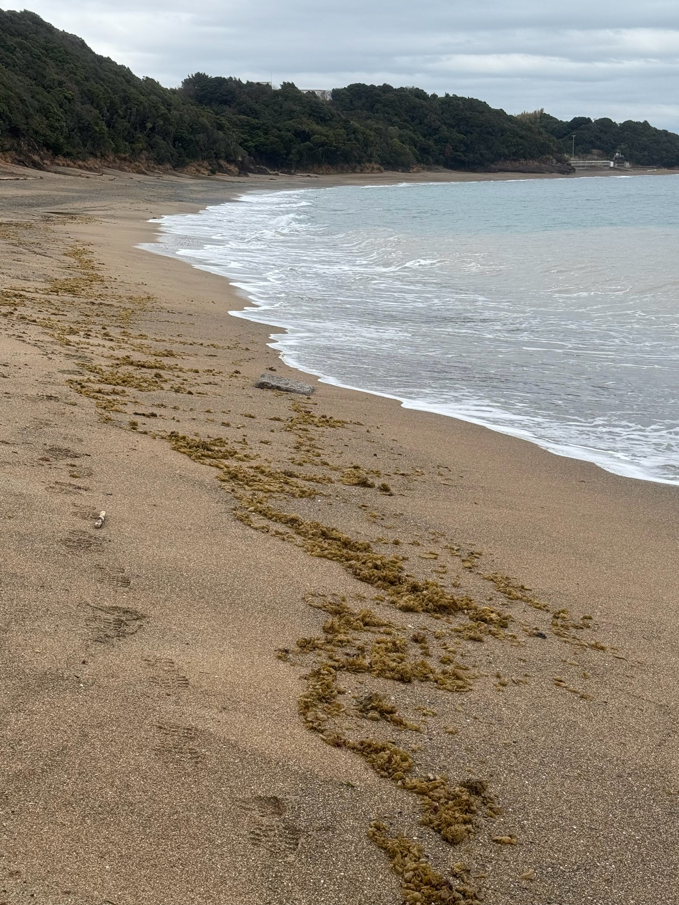 【大阪からたったの2時間!和歌山・千里の浜でプライベートビーチ気分】釣太郎