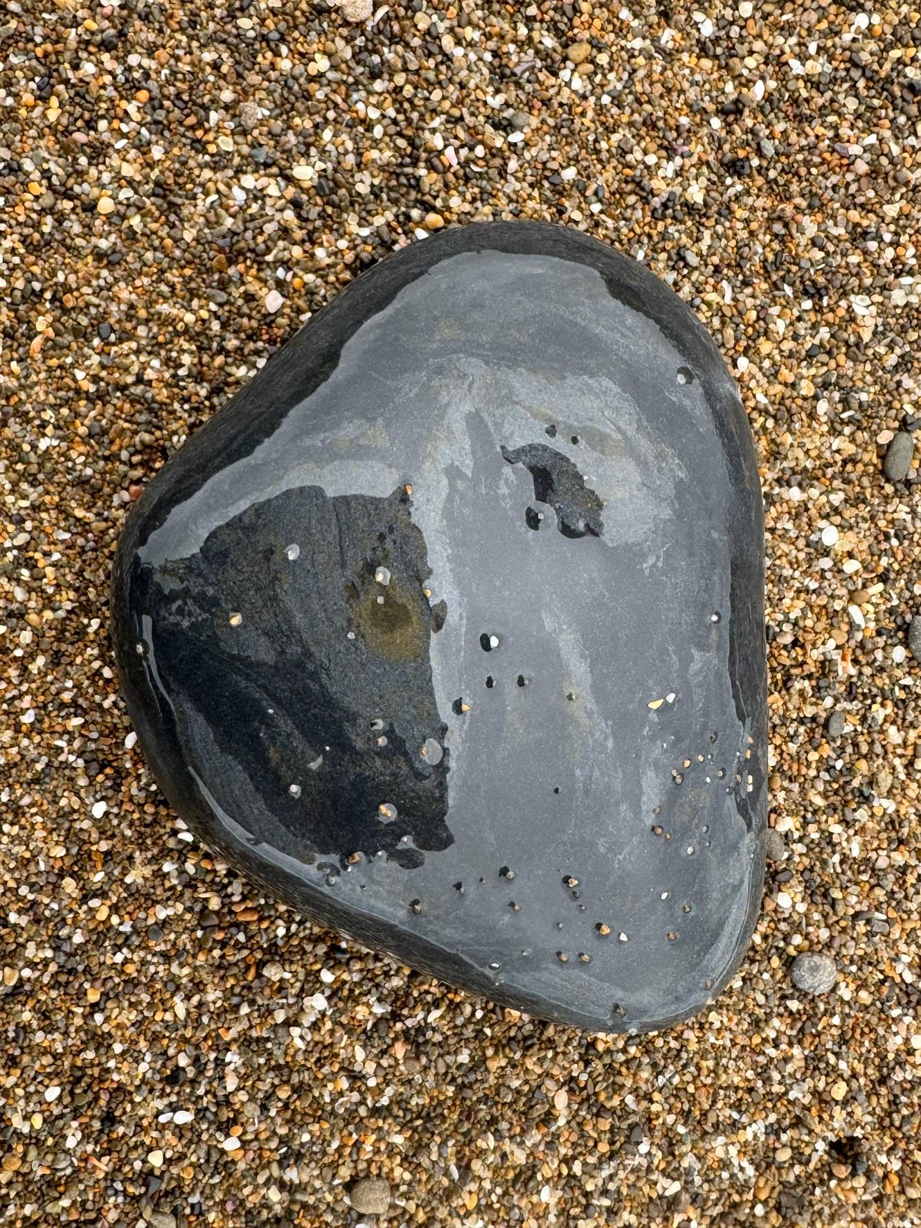 この黒くてツルツルした石は、おそらく 玄武岩 や 珪質頁岩(けいしつけつがん) の可能性が高いです。釣太郎