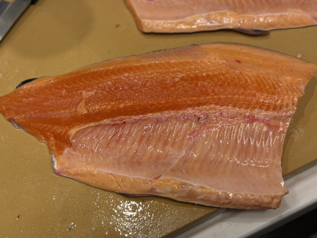 サーモンの種類ご紹介。釣太郎