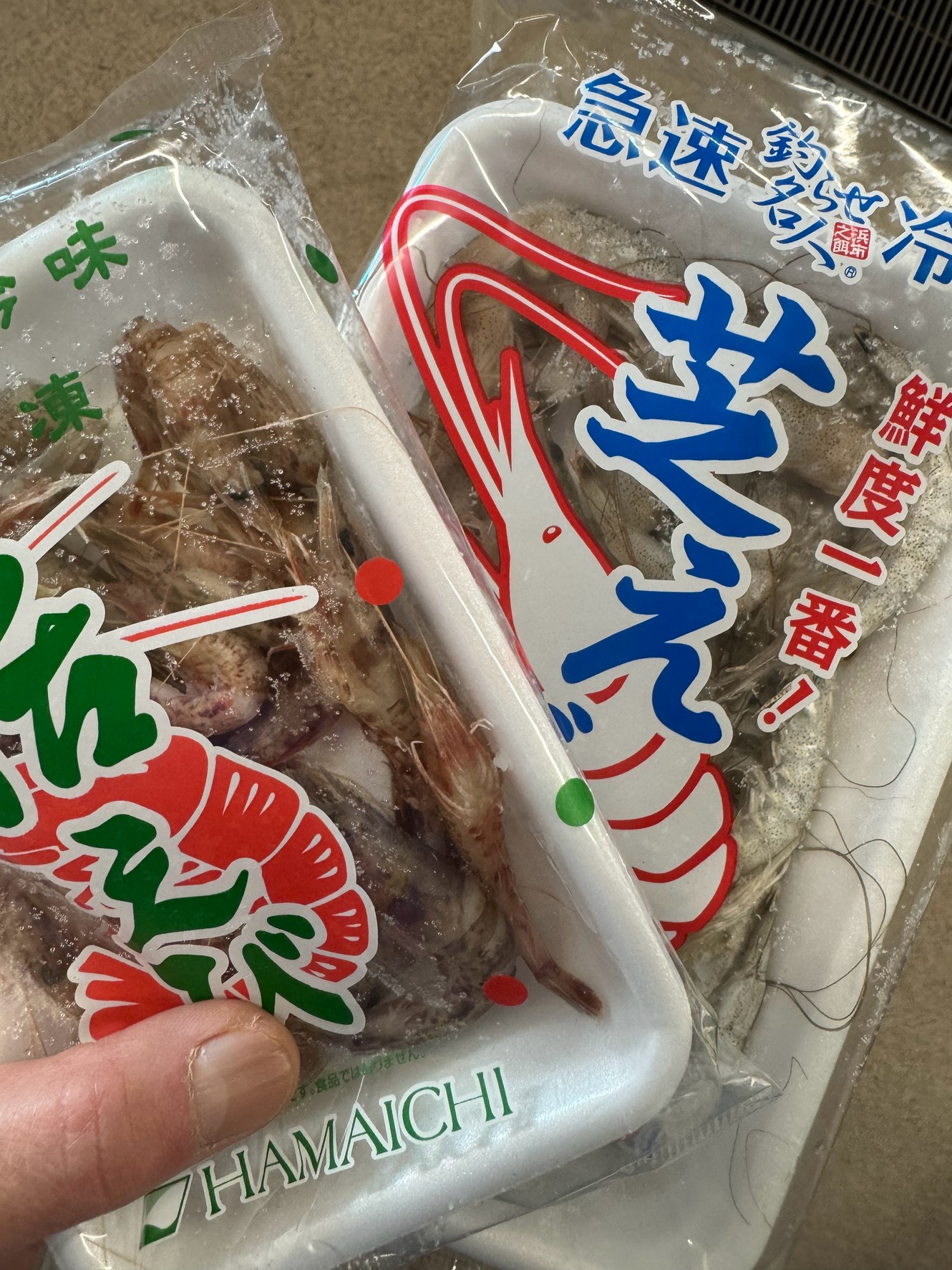 【釣りエサに使われる国産エビ】種類・特徴・使い方を徹底解説！釣太郎