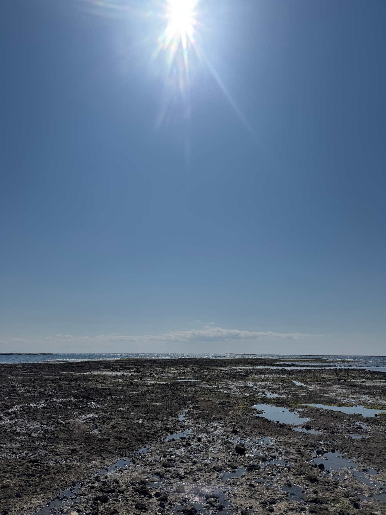 3月10日月曜日。みなべ町は午後1時で15℃。海辺は風が心地よいベストシーズン。釣太郎