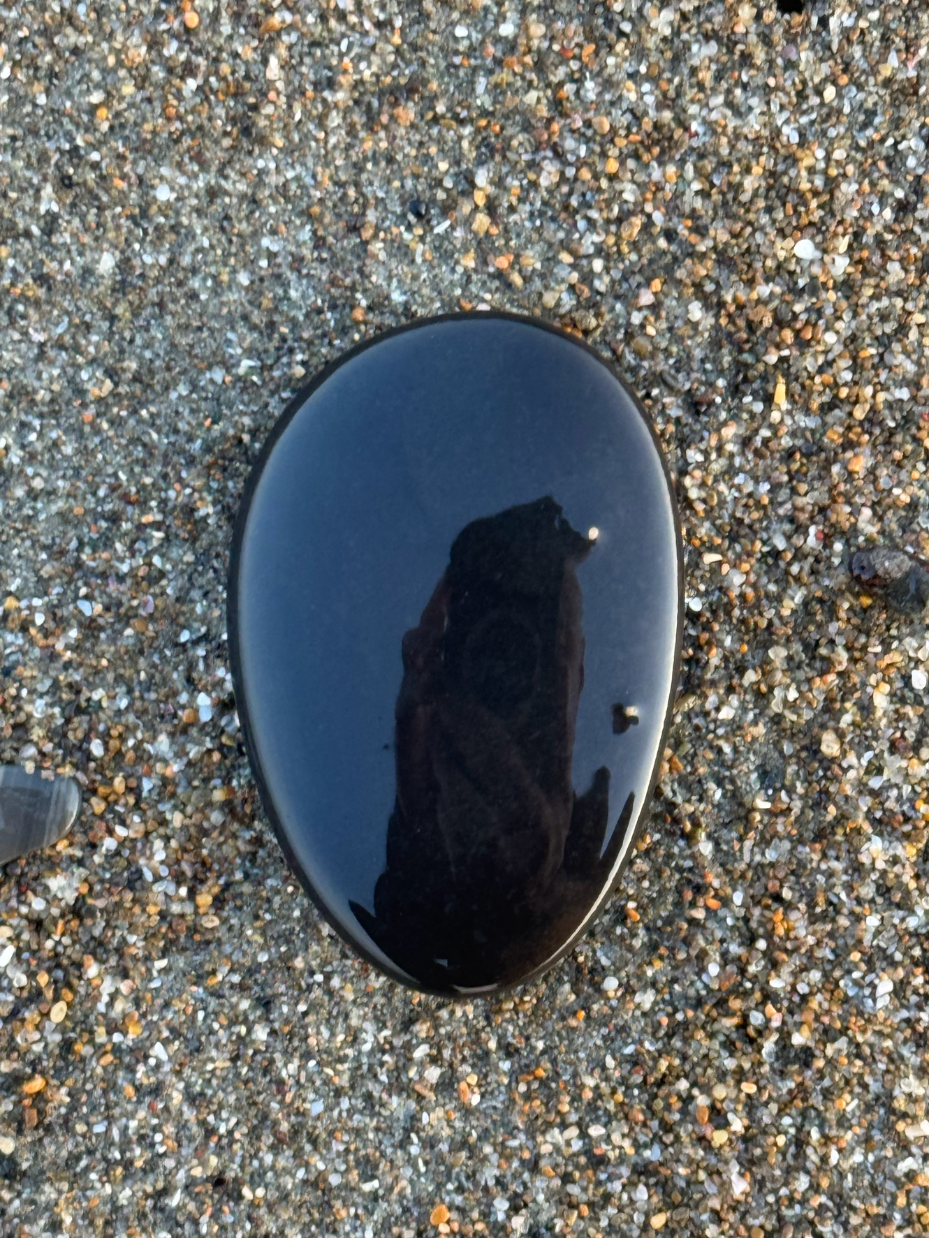 砂浜で時々見かける黒い小石。ツルツルで非常に綺麗で置き石にできるほど見栄えがいい。釣太郎