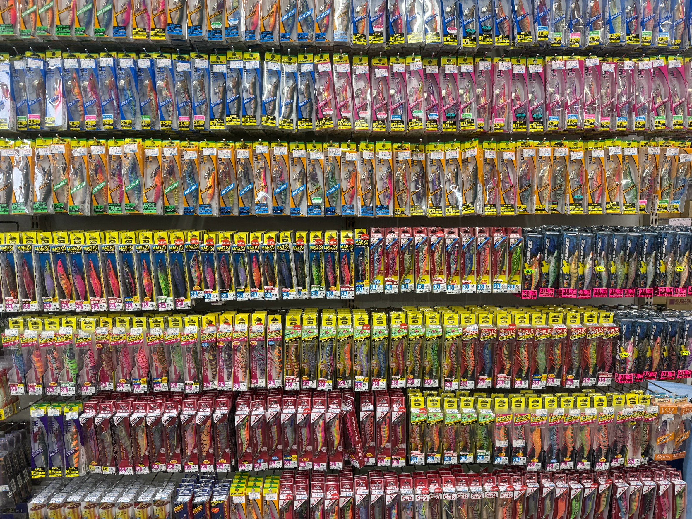 春のアオリイカ釣りはヤエンがメインですが、エギンガーも多い。釣太郎