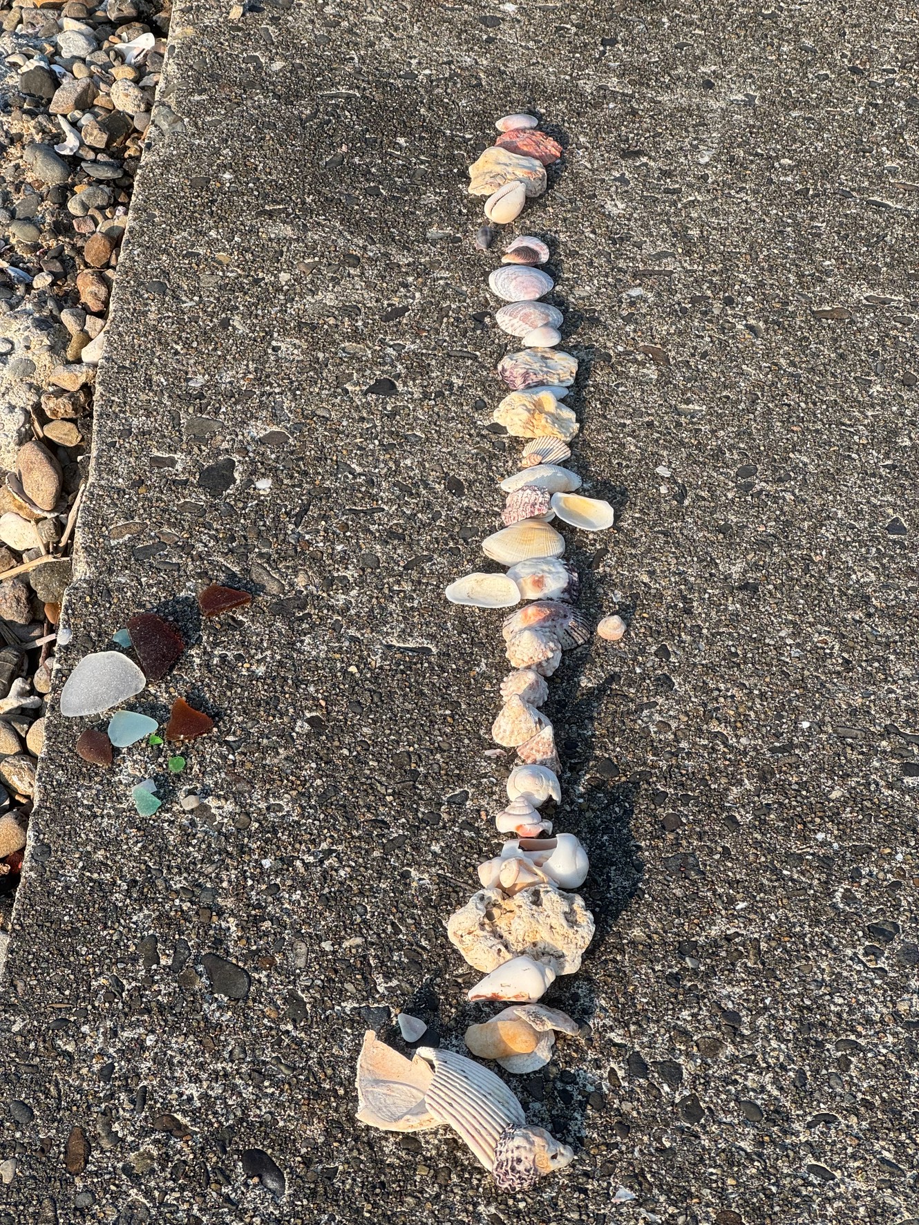 【釣太郎みなべ店近くで"宝探し"しませんか？海辺の散策で心をリフレッシュ！】