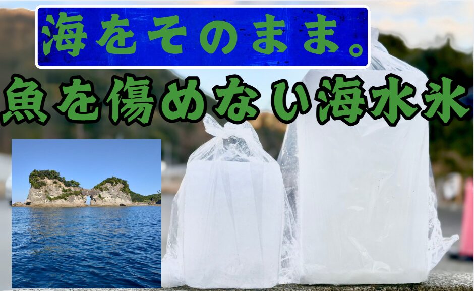 鮮度を極める。黒潮育ちの海水氷。 せっかく釣り上げた魚やアオリイカ、最高の状態で持ち帰りたいですよね？ 冷却には、真水氷よりも断然、海水氷がおすすめです！ 釣太郎の海水氷は、豊かな黒潮の海水をそのまま凍らせました。 魚の身を傷つけにくく、鮮度をしっかりキープ。 アオリイカの美しい色と食感を損ないません。 釣太郎では、用途に合わせて選べる1キロと3キロをご用意しています。 釣りの帰りには、ぜひ釣太郎の海水氷で、釣果の鮮度をそのまま食卓へお届けください！