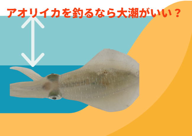 アオリイカを釣るなら大潮がいい?どの時間帯がねらい目?釣太郎