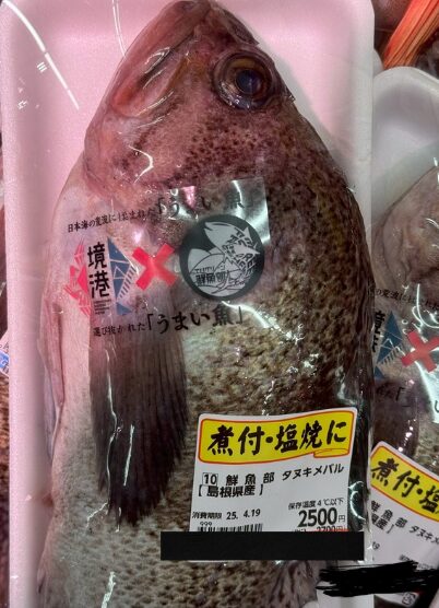 タヌキメバルって何?和歌山では聞いたこともない魚紹介。釣太郎