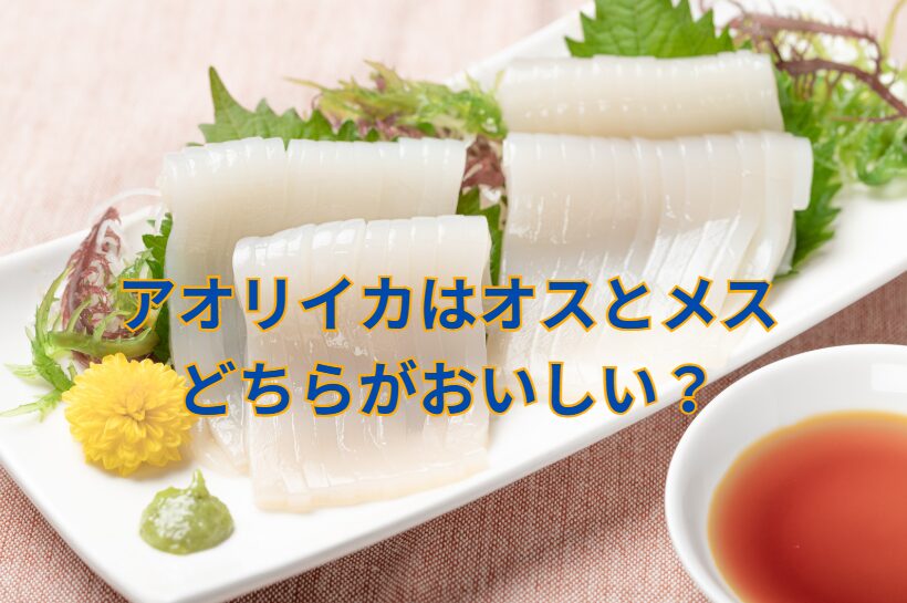 アオリイカはオスとメス、どちらがおいしい?釣太郎