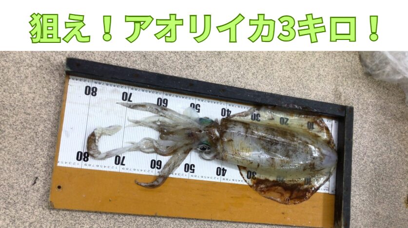 4月の狙うべきアオリイカ釣り、ゴールデンタイムは？釣太郎