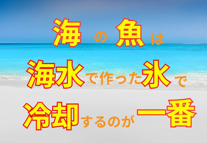 海の魚を冷却するなら、海の水を凍らせた海水氷が一番いい。釣太郎では1キロと3キロ販売中。