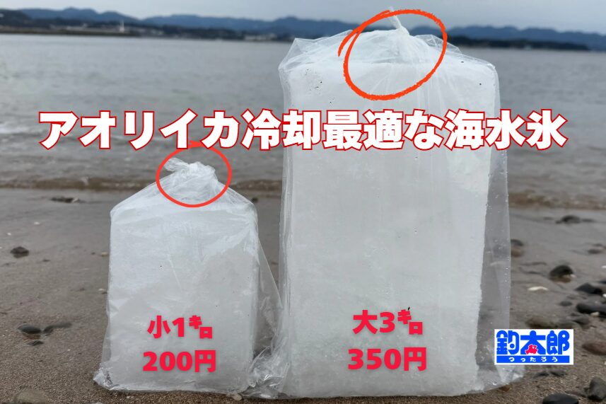 アオリイカ冷却するなら、真水を凍らせた氷より、海水を凍らせた海水氷のほうが利点がある。釣太郎