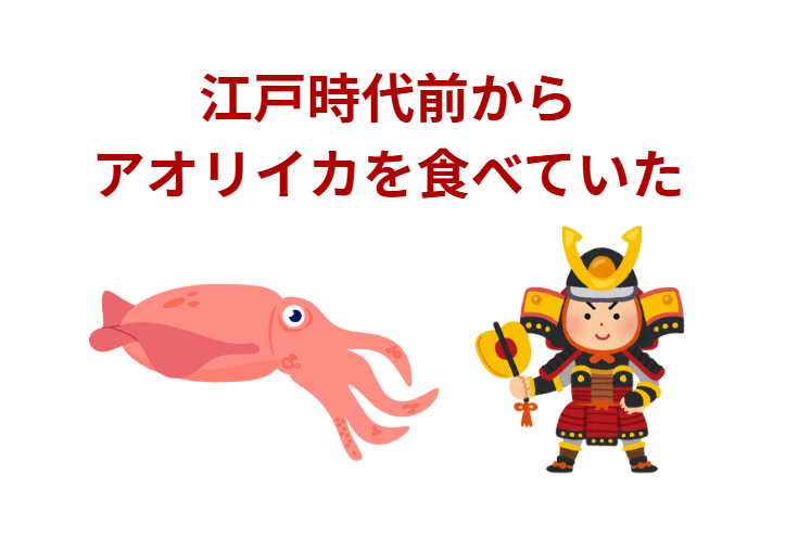 日本では、アオリイカは江戸時代前から食べていた。釣太郎