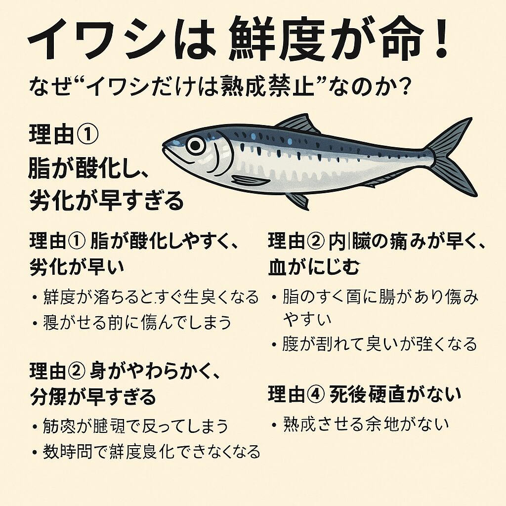 イワシは鮮度が命。魚編に弱いは建ではない。釣太郎