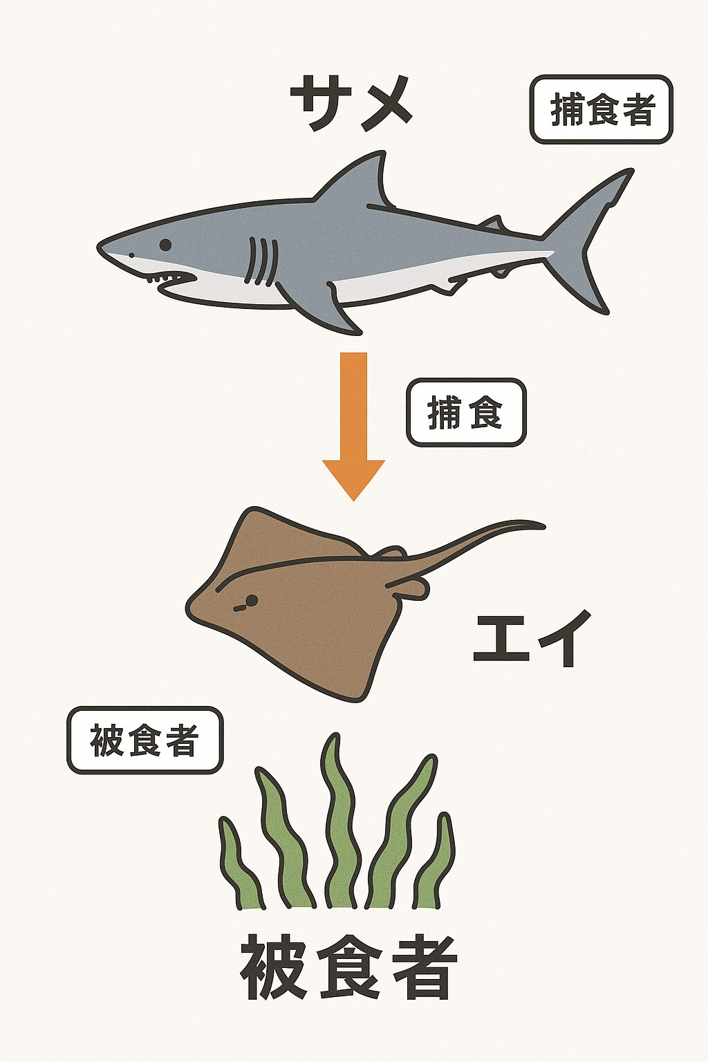 近年エイが増え、サメが減少している理由。釣太郎