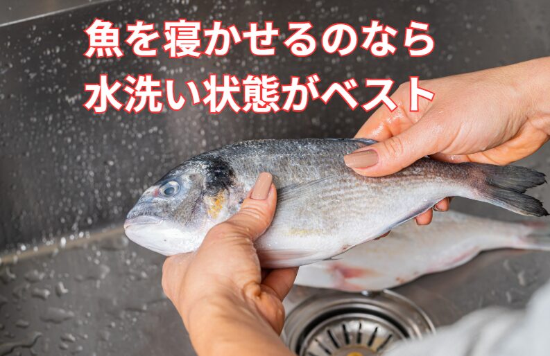 魚を保管して寝かせるなら、水洗い状態がベスト。釣太郎