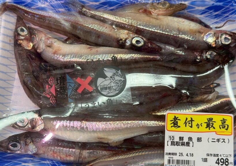 見たことも聞いたこともない魚「ニギス」。場所が変われば魚も変わる。釣太郎