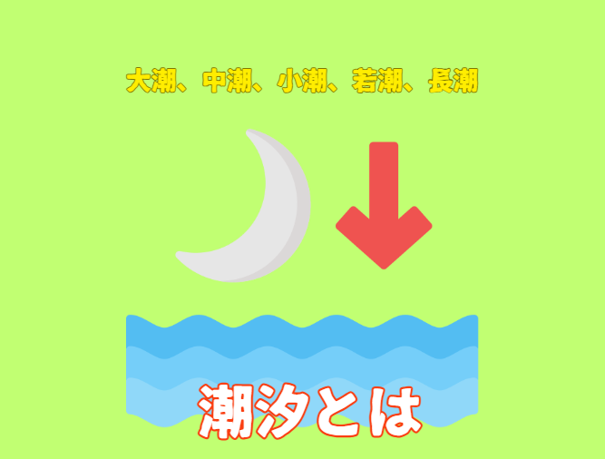 大潮、中潮、小潮、若潮、長潮を釣り初心者へ解説。この時釣果は期待できるか？釣太郎