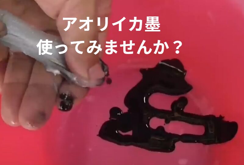 アオリイカ墨は、釣った人の特権。使ってみませんか？釣太郎