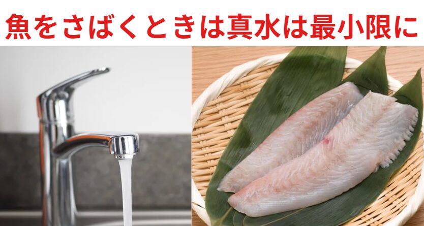 釣った魚を真水で洗ったらまずくなる。この理由説明。釣太郎