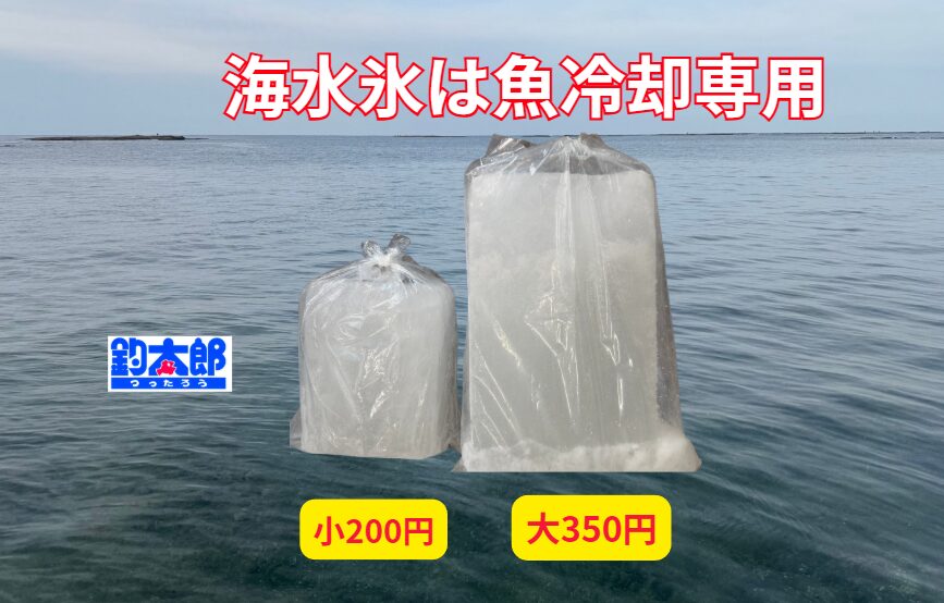 釣太郎では海水氷小1キロと大3キロ販売中。釣り人に圧倒的な人気を得ています。