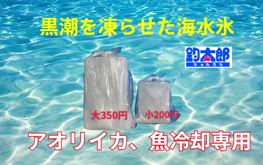 アオリイカと魚冷却専用!ベストセレクションの海水氷は釣太郎オリジナル。