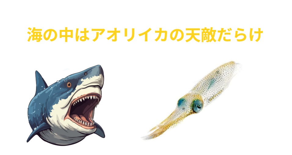海の中はアオリイカの天敵だらけ。釣太郎