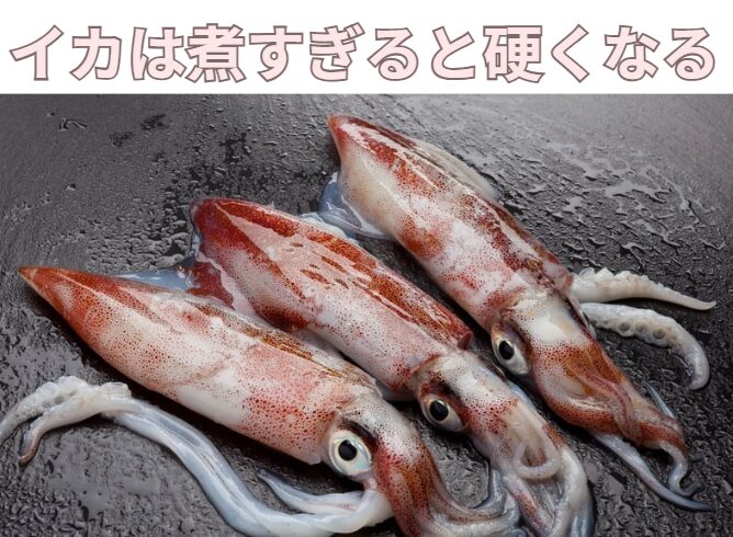イカは煮過ぎると固くなるため、おでんの具材には不向き。釣太郎