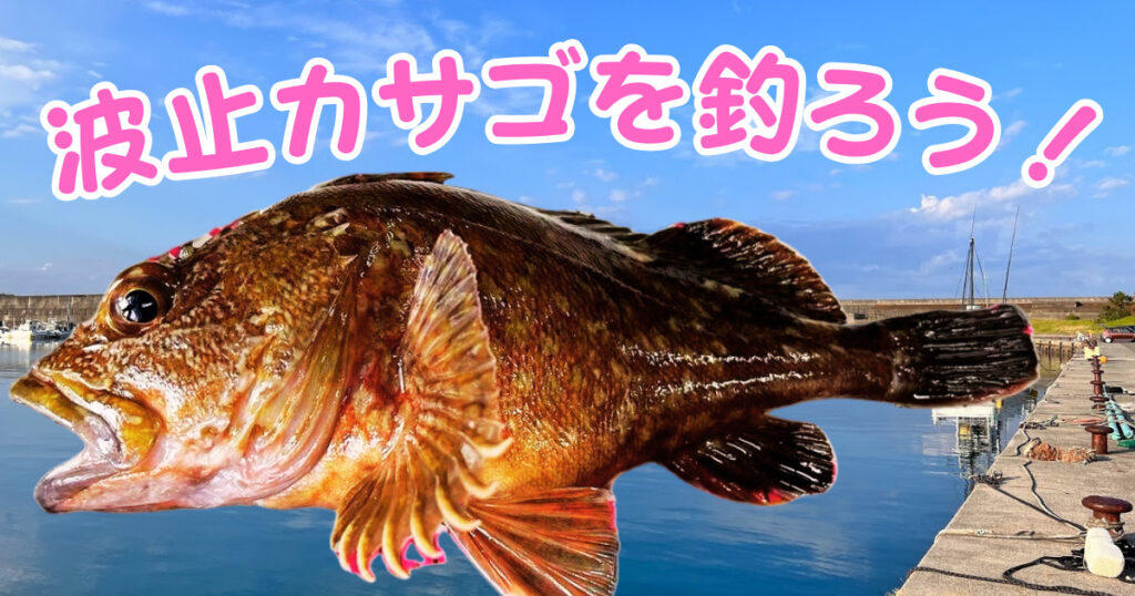 波止から狙える人気ターゲット！ 根魚の王様「カサゴ（ガシラ）」の特徴と釣り方を徹底解説！釣太郎